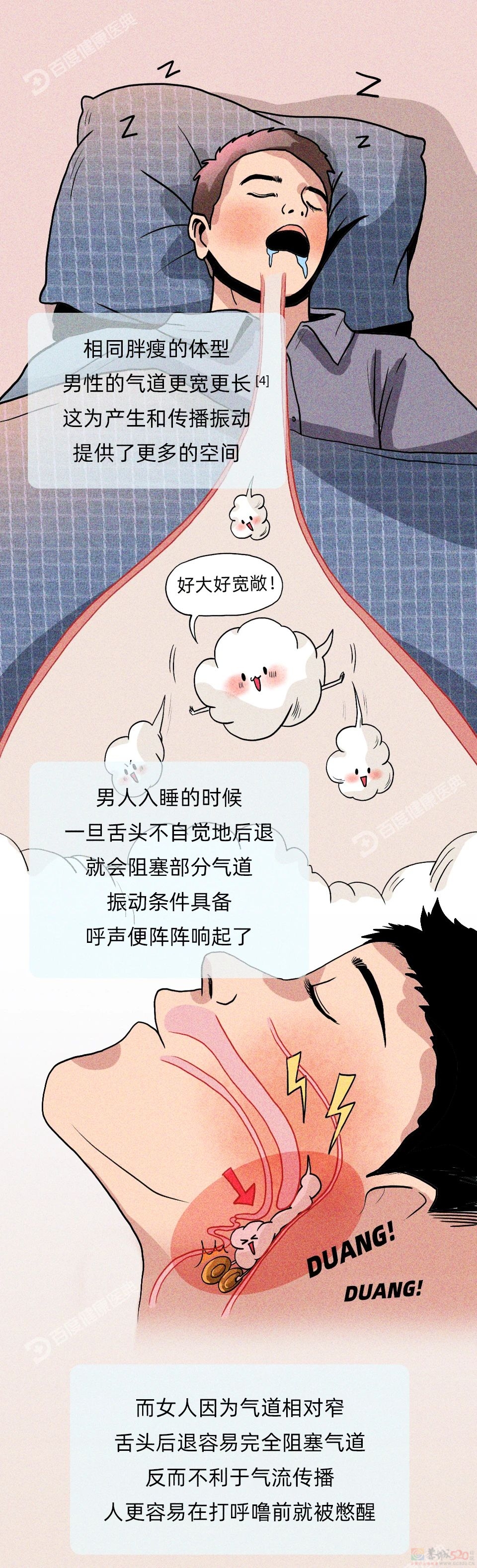 揭秘：为什么男人比女人更爱打呼噜？570 / 作者:健康小天使 / 帖子ID:314310