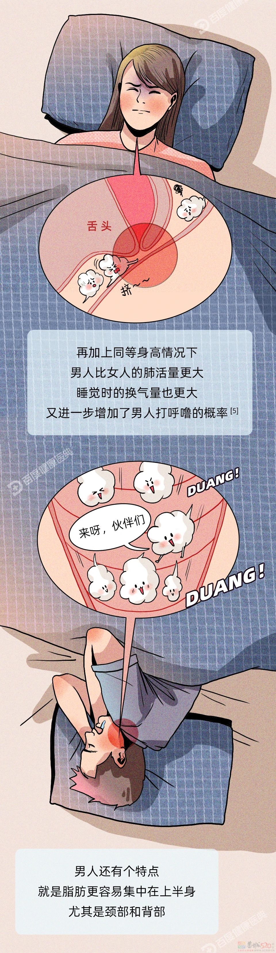 揭秘：为什么男人比女人更爱打呼噜？343 / 作者:健康小天使 / 帖子ID:314310