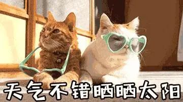 暴雨! 冰雹! 雷暴大风! 桂林下周天气…361 / 作者:尹以为荣 / 帖子ID:314335