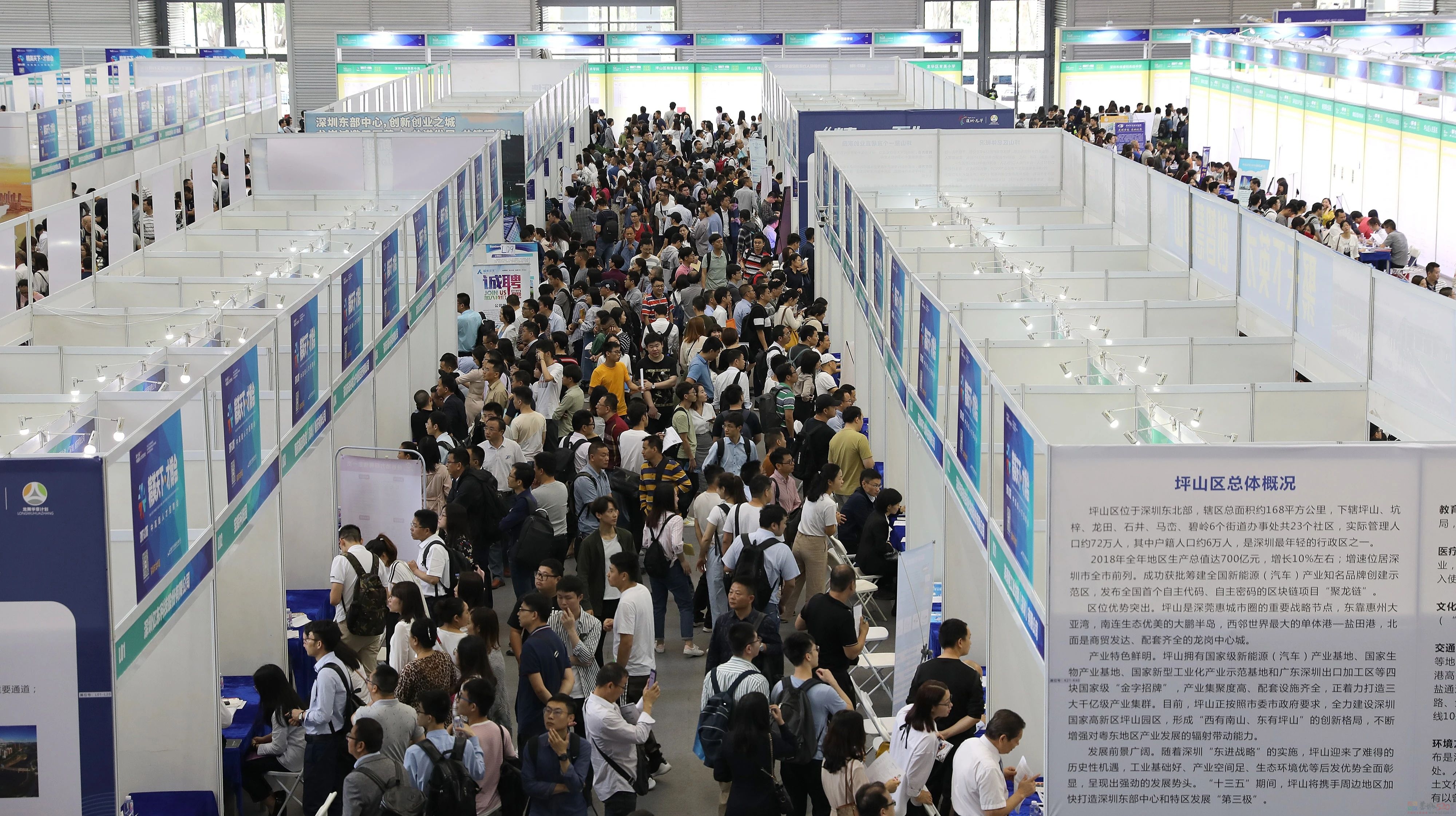 把学历改低的年轻人，HR抢着要？979 / 作者:儿时的回忆 / 帖子ID:314350