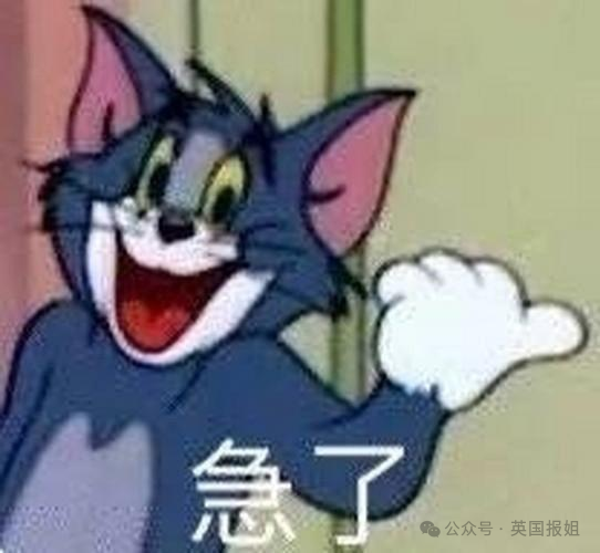 英媒吐槽中国疯狂炒作凯特王妃消失？英国网友反驳：笑死，咱自己才是碎嘴大喇叭！707 / 作者:放眼看世界 / 帖子ID:314405