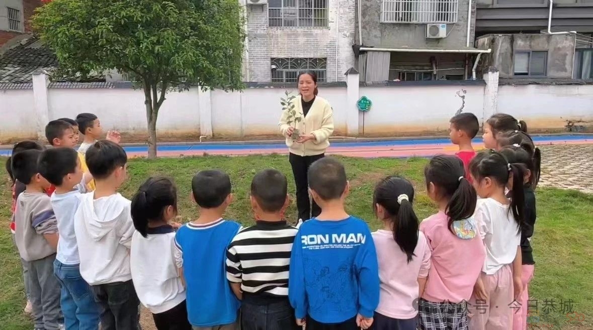 嘉会镇中心幼儿园开展茶叶种植活动706 / 作者:论坛小编01 / 帖子ID:314569