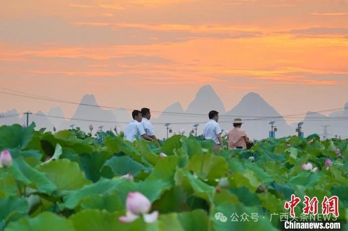 广西这几个市清明假期赚大发了！540 / 作者:尹以为荣 / 帖子ID:314591