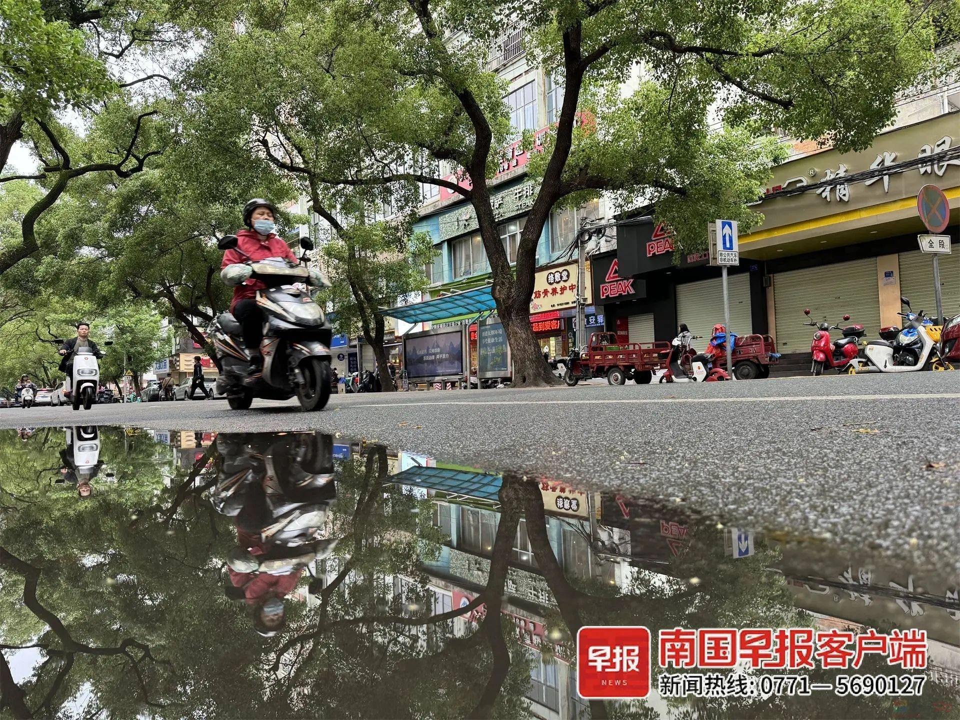 还能凉快两天！广西即将重回30℃+，“三月三”假期天气抢先看→375 / 作者:尹以为荣 / 帖子ID:314619