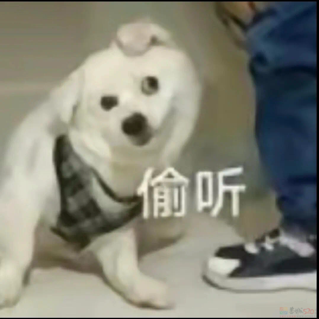 30℃+！暴雨！强对流！桂林接下来的天气...494 / 作者:尹以为荣 / 帖子ID:314671