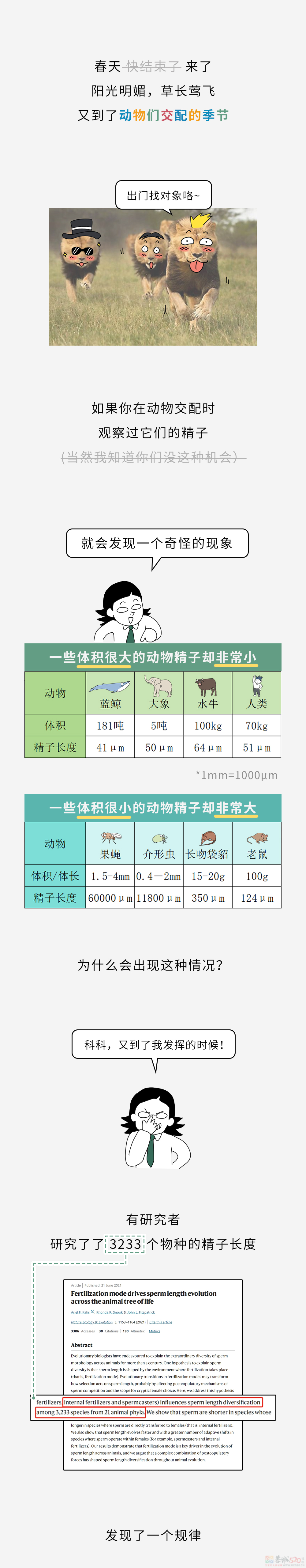 为什么体积越小的动物，精子越大？739 / 作者:儿时的回忆 / 帖子ID:314673