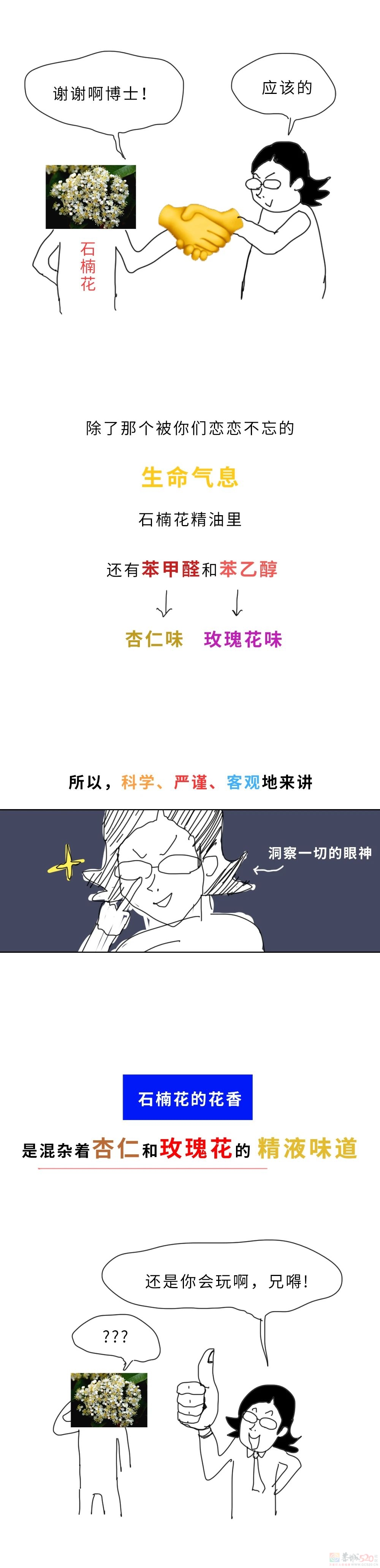 石楠花味道这么污，究竟TM为啥还满大街种啊？973 / 作者:儿时的回忆 / 帖子ID:314708