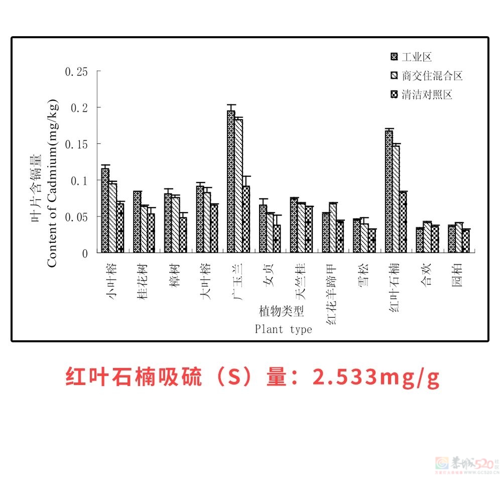 石楠花味道这么污，究竟TM为啥还满大街种啊？437 / 作者:儿时的回忆 / 帖子ID:314708