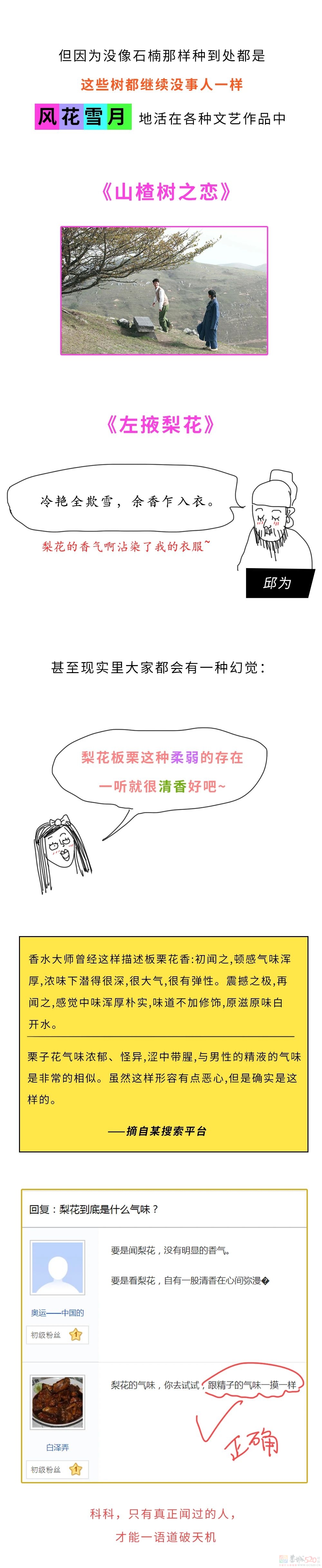 石楠花味道这么污，究竟TM为啥还满大街种啊？194 / 作者:儿时的回忆 / 帖子ID:314708