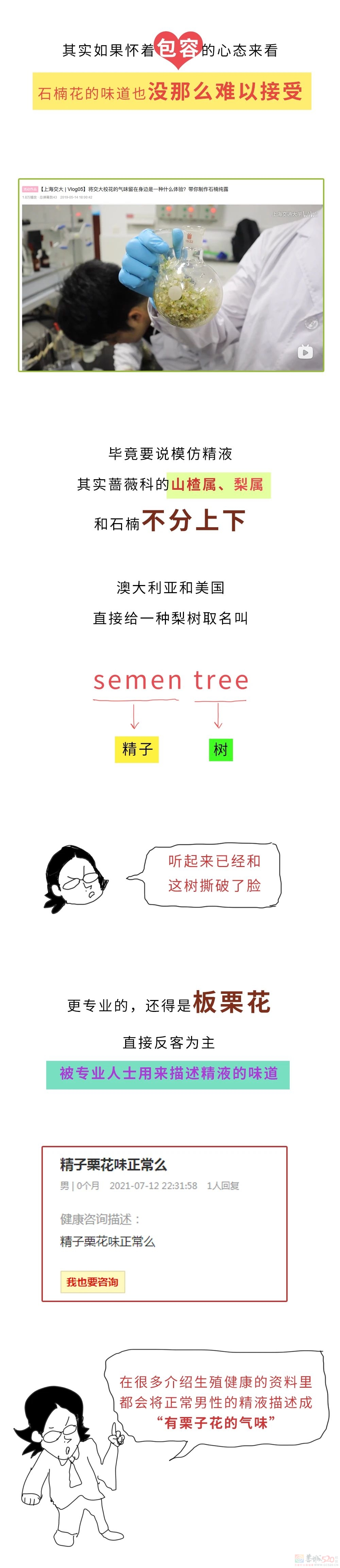 石楠花味道这么污，究竟TM为啥还满大街种啊？46 / 作者:儿时的回忆 / 帖子ID:314708