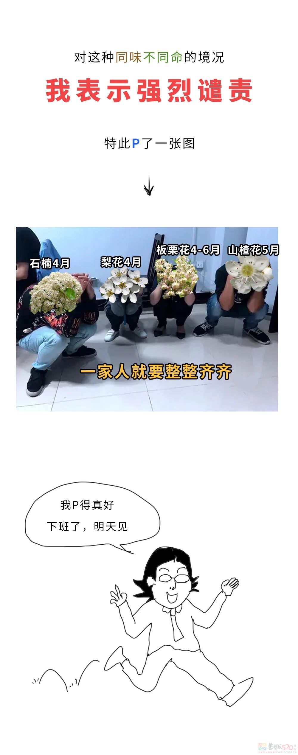 石楠花味道这么污，究竟TM为啥还满大街种啊？553 / 作者:儿时的回忆 / 帖子ID:314708