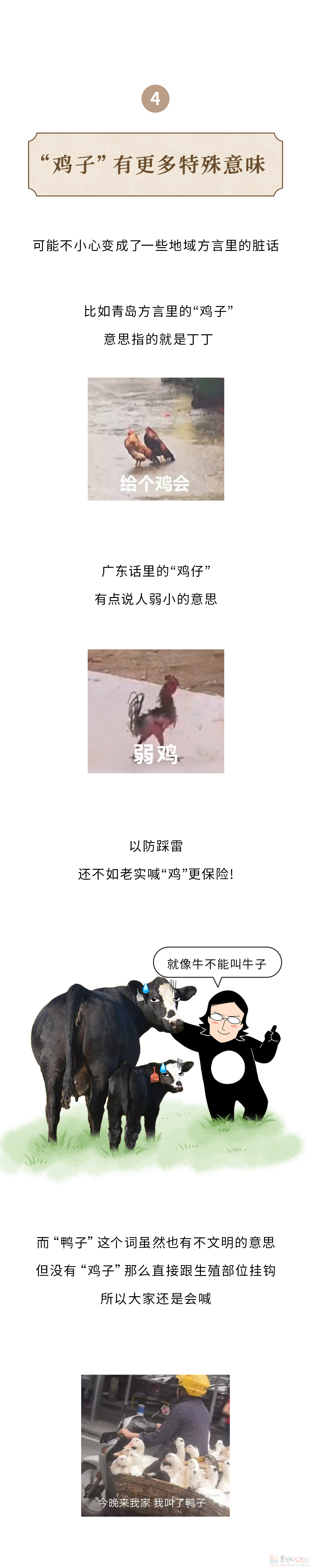 为啥鸭可以叫“鸭子”，鸡却不叫“鸡子”？689 / 作者:儿时的回忆 / 帖子ID:314727