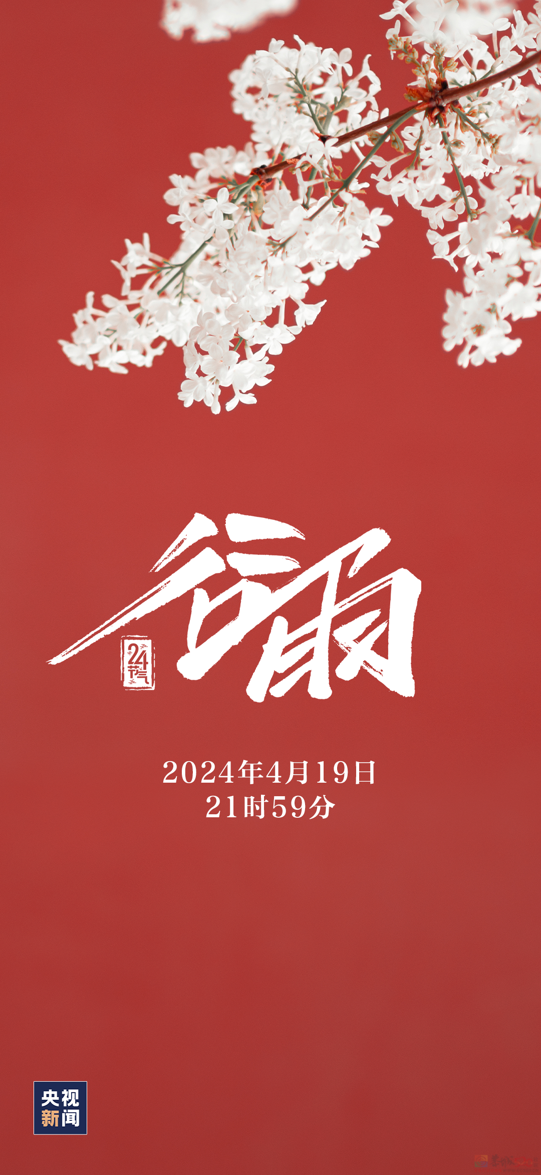 今日，谷雨488 / 作者:登山涉水 / 帖子ID:314753