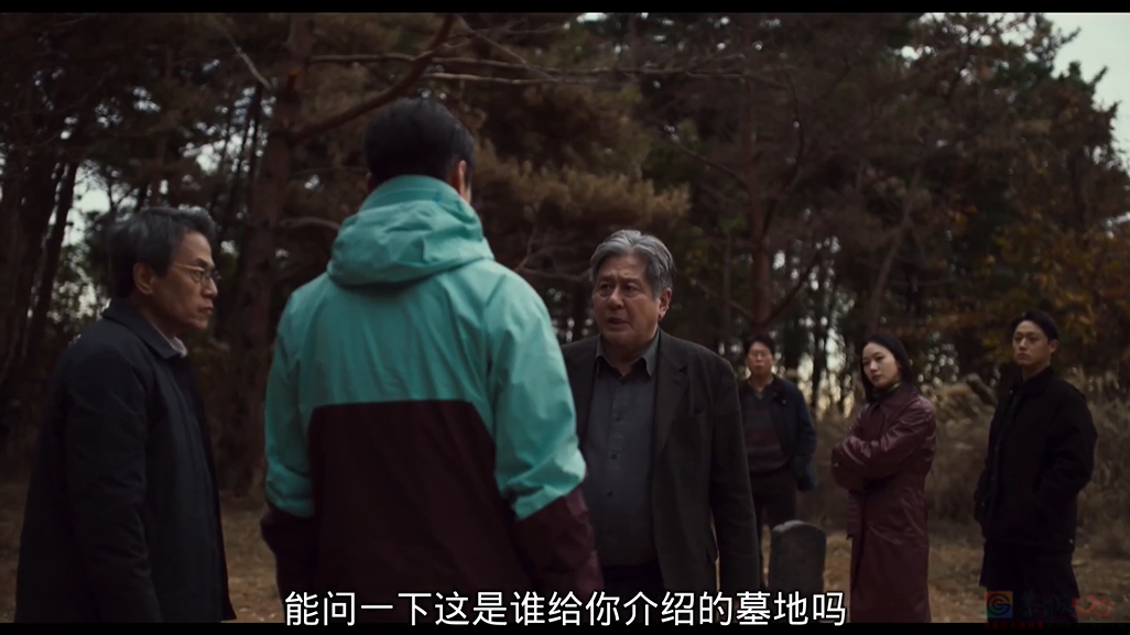今年第一现象级新片，杀疯了408 / 作者:该做的事情 / 帖子ID:314843
