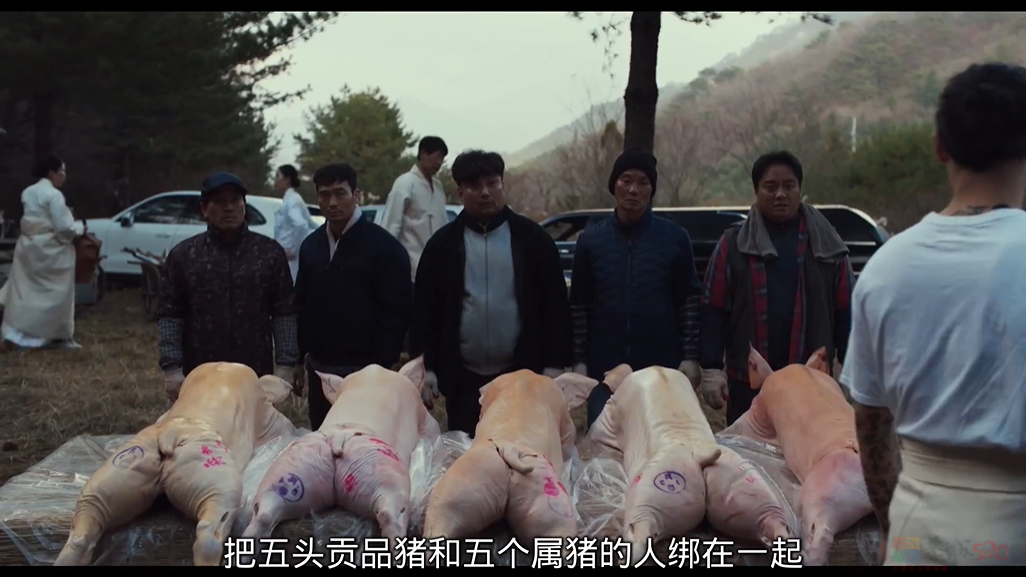 今年第一现象级新片，杀疯了798 / 作者:该做的事情 / 帖子ID:314843