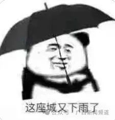 广西气象台今天发布暴雨蓝色预警，这些县(市、区)最大可能出现大暴雨→94 / 作者:尹以为荣 / 帖子ID:314844