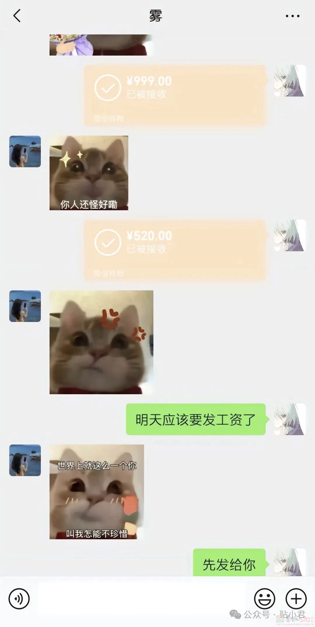 21岁重庆男子跳江事件542 / 作者:zero_river / 帖子ID:314982