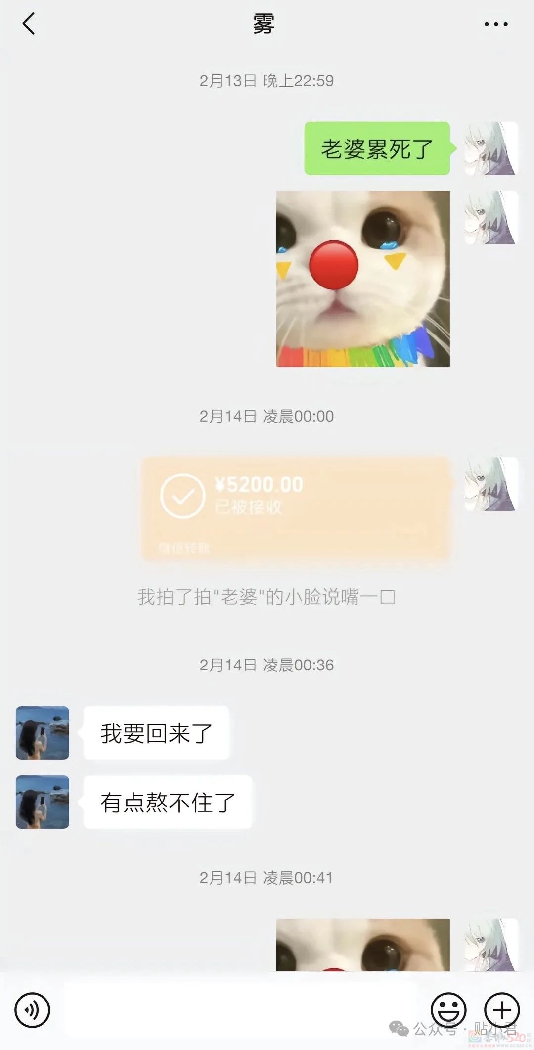 21岁重庆男子跳江事件265 / 作者:zero_river / 帖子ID:314982