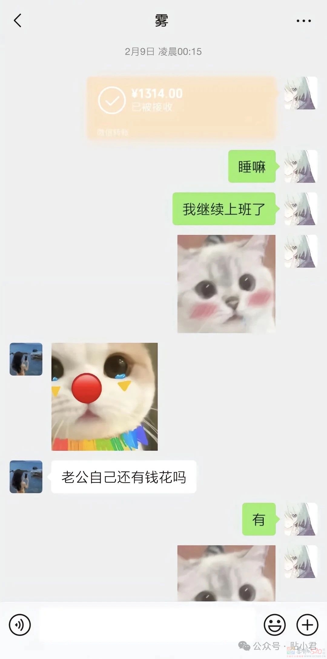 21岁重庆男子跳江事件430 / 作者:zero_river / 帖子ID:314982