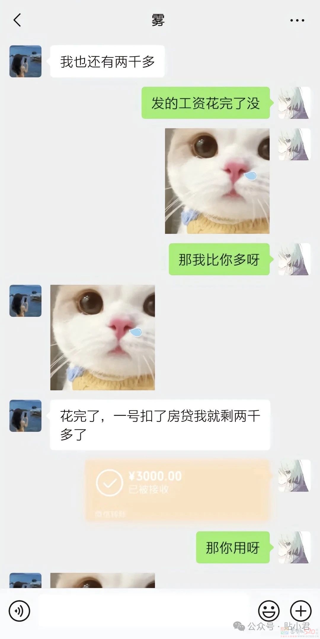 21岁重庆男子跳江事件15 / 作者:zero_river / 帖子ID:314982