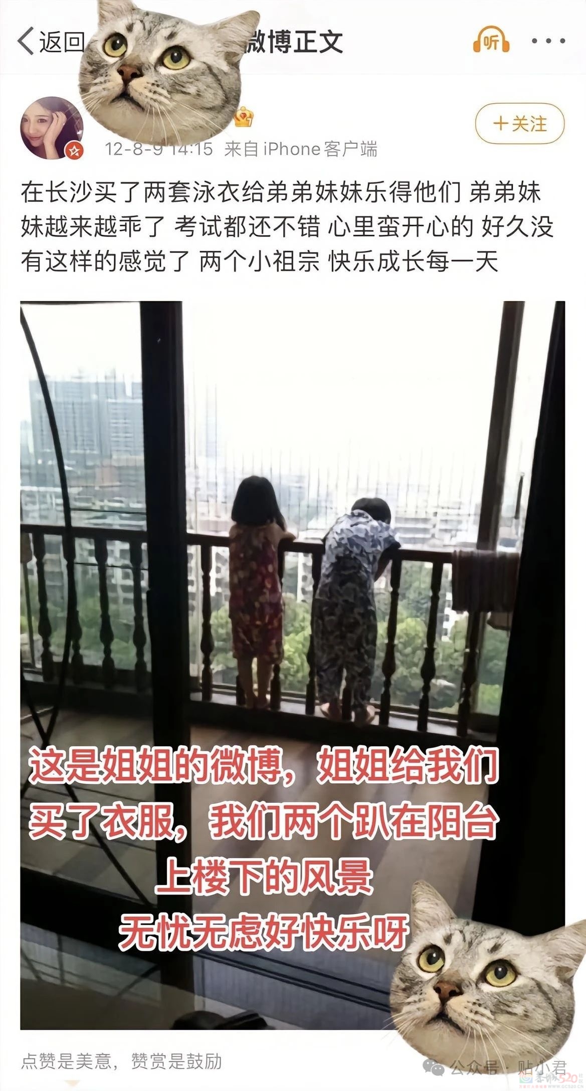 21岁重庆男子跳江事件921 / 作者:zero_river / 帖子ID:314982