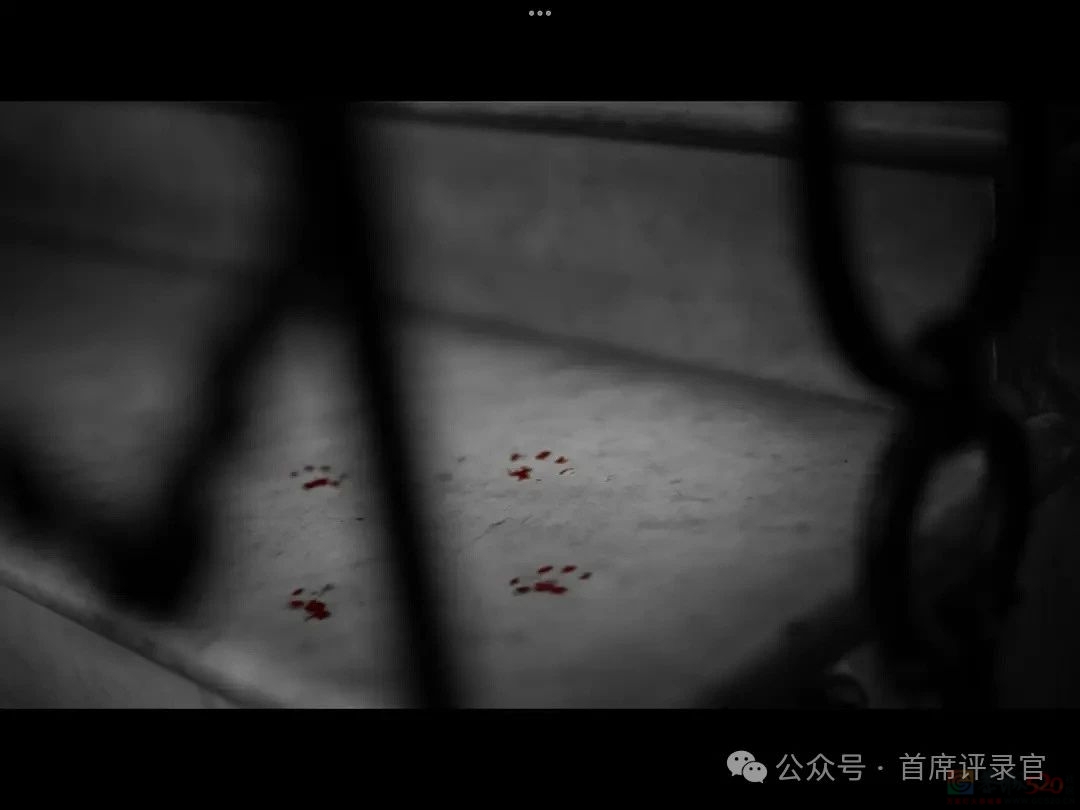 今年第一“诈骗剧”，竟然全网叫好197 / 作者:该做的事情 / 帖子ID:315089