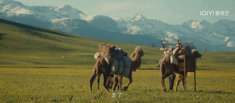 今年国剧最高分，好看，但……709 / 作者:该做的事情 / 帖子ID:315146