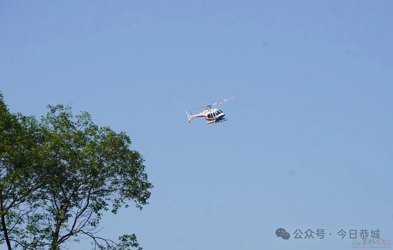 恭城空降直升机 助力松材线虫病防治工作128 / 作者:论坛小编01 / 帖子ID:315179