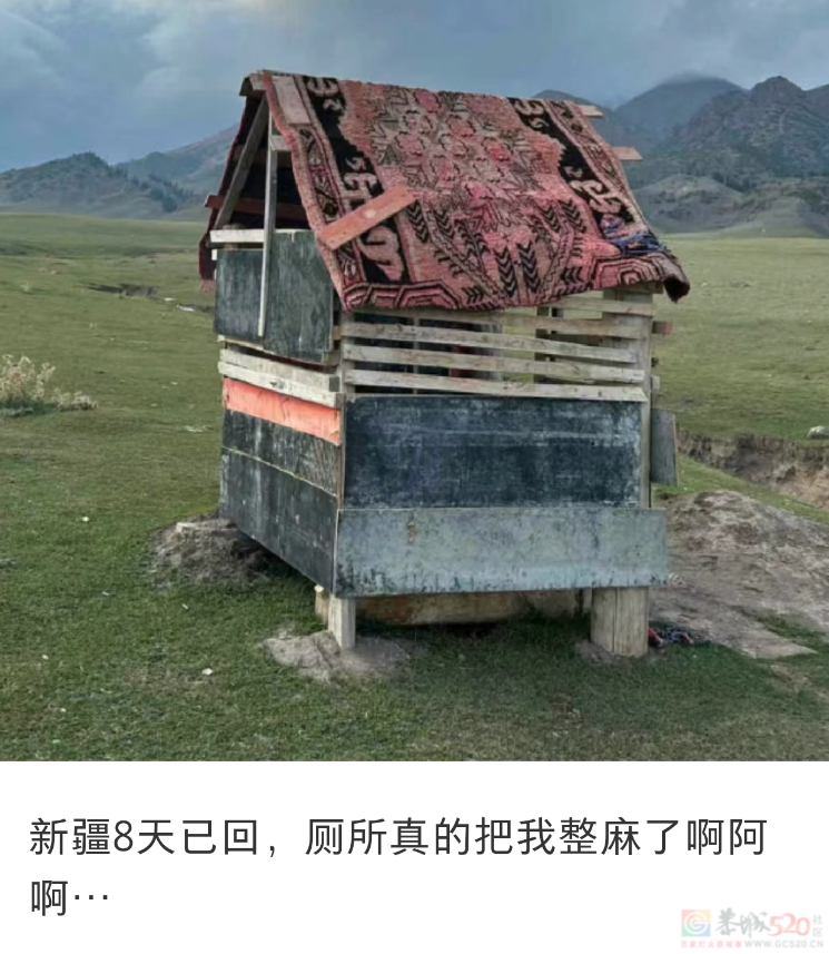 “蹲在露天旱厕和羊面对面”，去今年最爆景区的人膀胱快炸了665 / 作者:儿时的回忆 / 帖子ID:315346