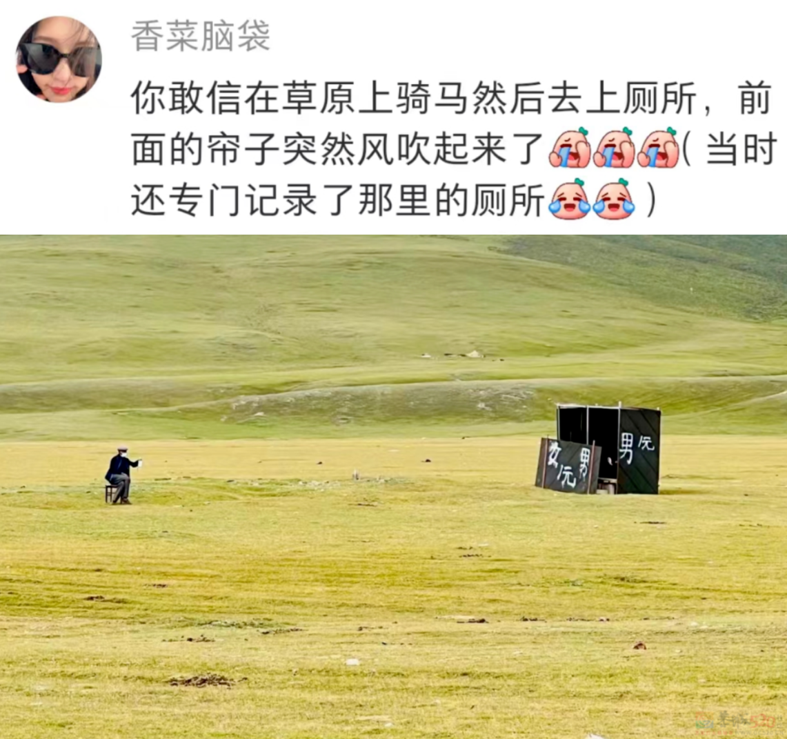 “蹲在露天旱厕和羊面对面”，去今年最爆景区的人膀胱快炸了577 / 作者:儿时的回忆 / 帖子ID:315346