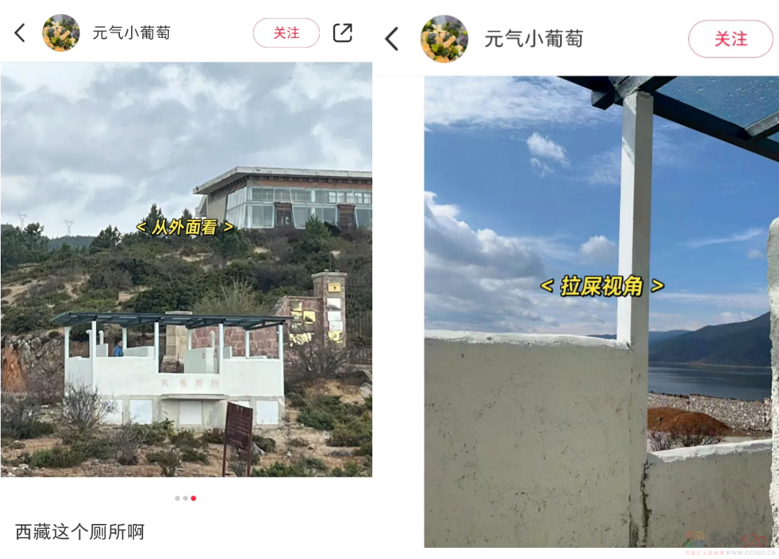 “蹲在露天旱厕和羊面对面”，去今年最爆景区的人膀胱快炸了921 / 作者:儿时的回忆 / 帖子ID:315346