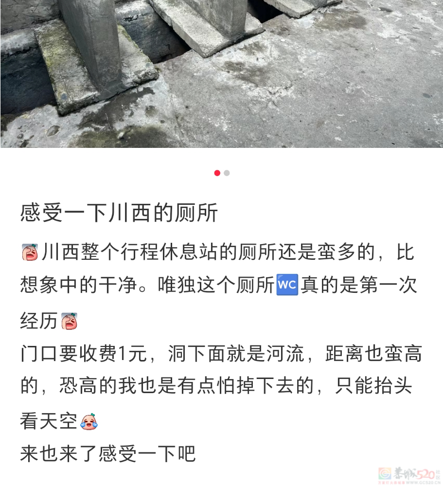 “蹲在露天旱厕和羊面对面”，去今年最爆景区的人膀胱快炸了337 / 作者:儿时的回忆 / 帖子ID:315346