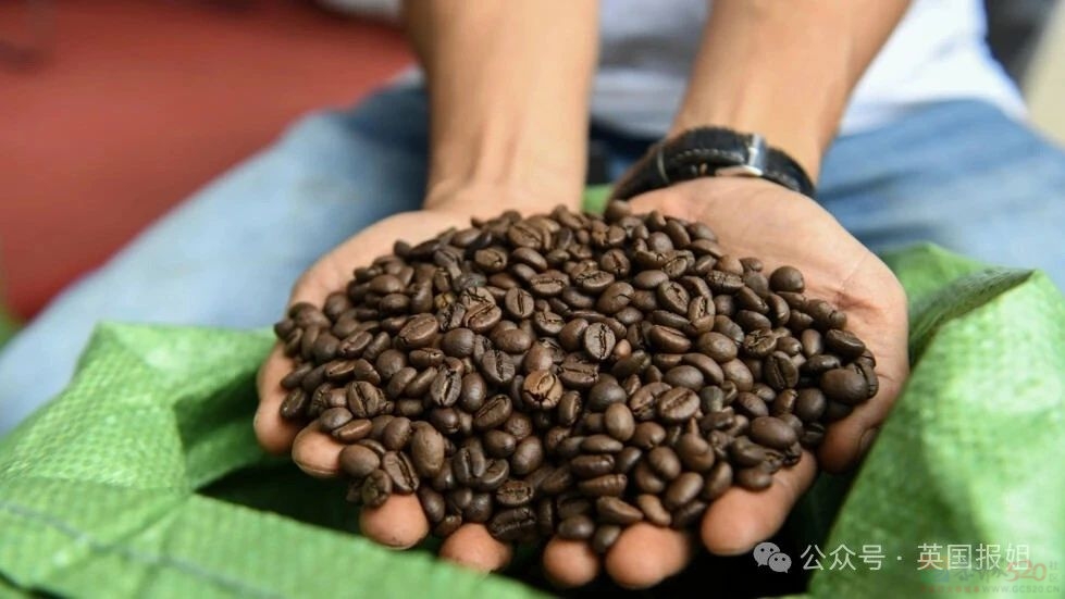 泰国越南为榴莲打起来啦？中国人狂炫榴莲吃光泰国，越南趁虚而入：想吃多少我们种多少！671 / 作者:放眼看世界 / 帖子ID:315400