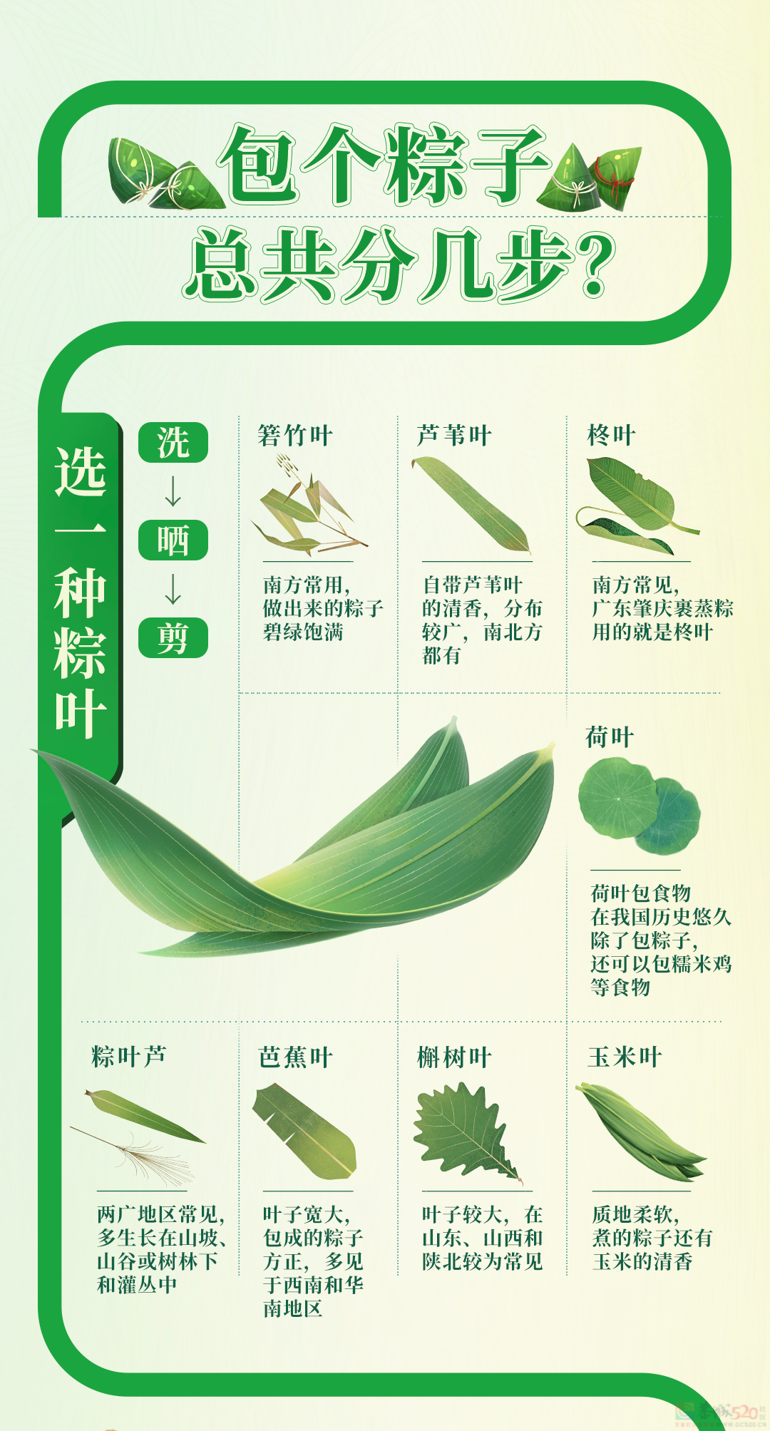 来，咱包个粽子！464 / 作者:登山涉水 / 帖子ID:315616