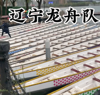 北方龙舟出洋相笑晕南方人，“全省决赛愣走不出直线”148 / 作者:儿时的回忆 / 帖子ID:315630