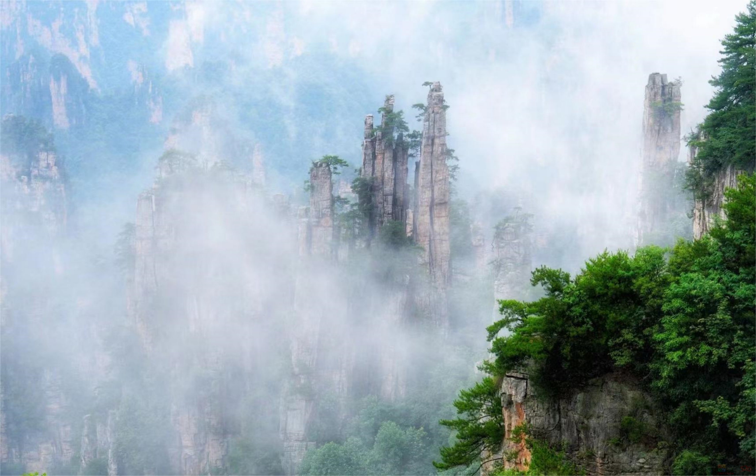 来张家界旅游，怎么玩轻松又自由呢855 / 作者:天天客栈 / 帖子ID:315749