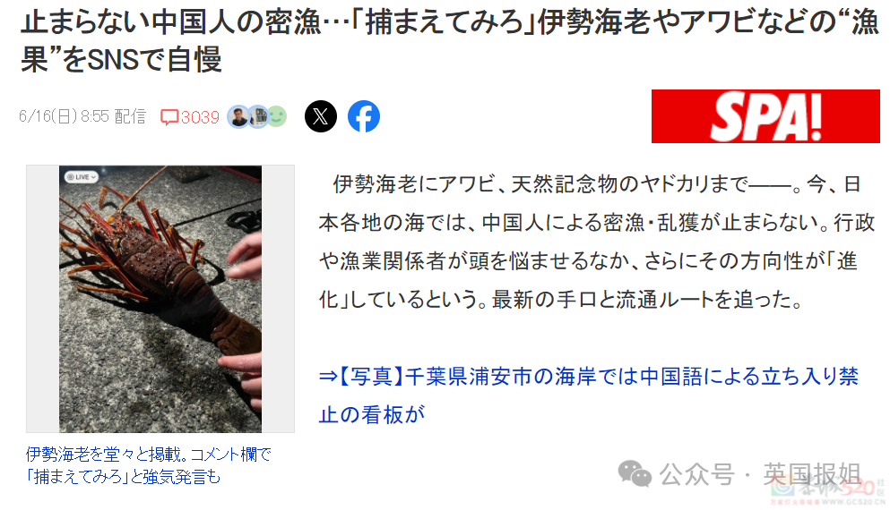 中国游客日本赶海，狂捞龙虾鲍鱼被罚几万差点坐牢？有人竟放言挑衅“来抓我呀？”735 / 作者:放眼看世界 / 帖子ID:315789