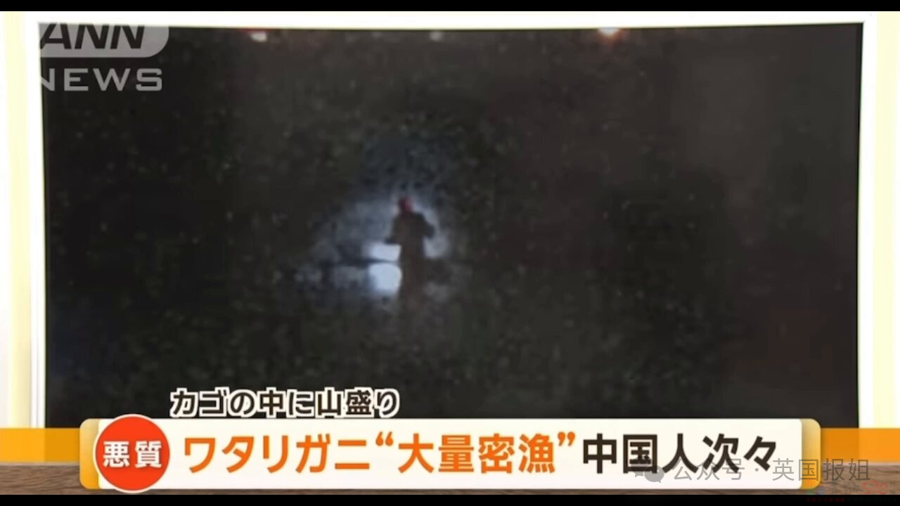 中国游客日本赶海，狂捞龙虾鲍鱼被罚几万差点坐牢？有人竟放言挑衅“来抓我呀？”893 / 作者:放眼看世界 / 帖子ID:315789