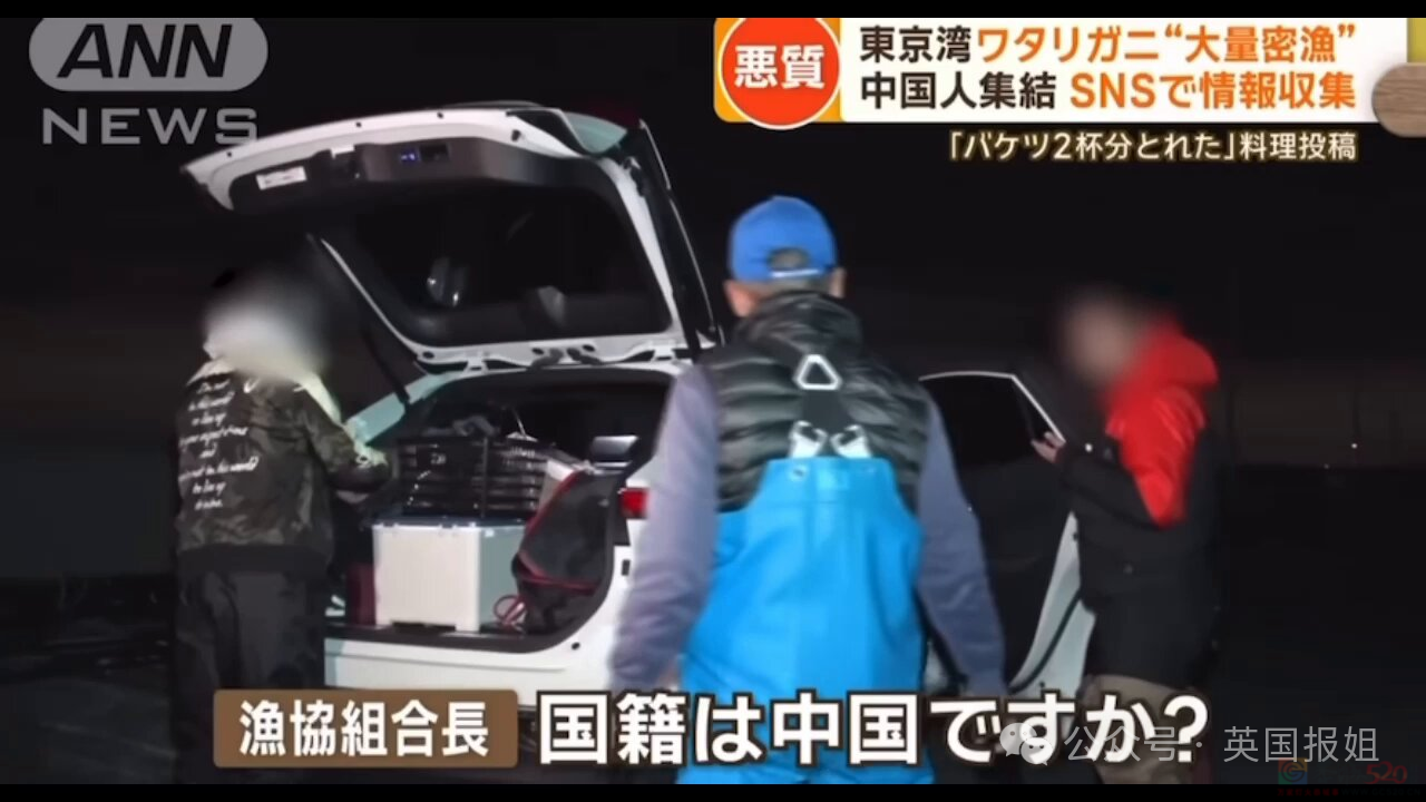 中国游客日本赶海，狂捞龙虾鲍鱼被罚几万差点坐牢？有人竟放言挑衅“来抓我呀？”246 / 作者:放眼看世界 / 帖子ID:315789