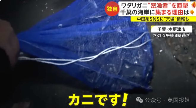 中国游客日本赶海，狂捞龙虾鲍鱼被罚几万差点坐牢？有人竟放言挑衅“来抓我呀？”679 / 作者:放眼看世界 / 帖子ID:315789