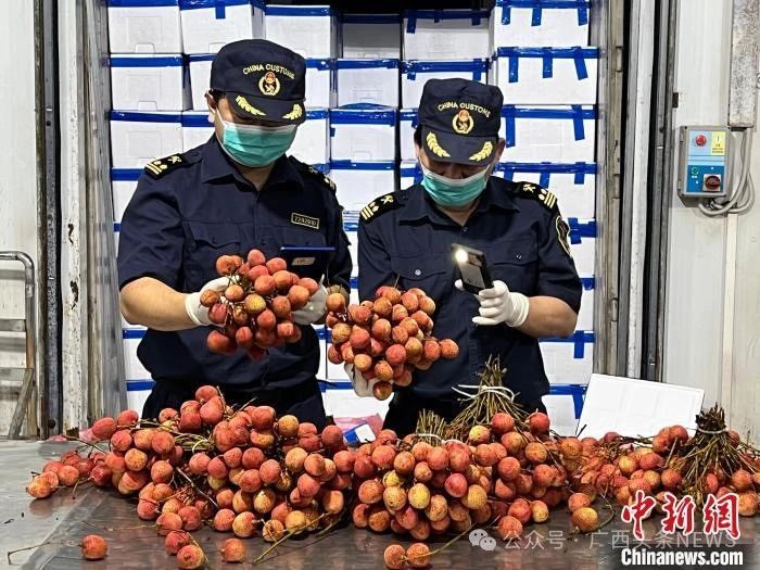 广西在这个领域打造多个千亿级产业897 / 作者:尹以为荣 / 帖子ID:315892