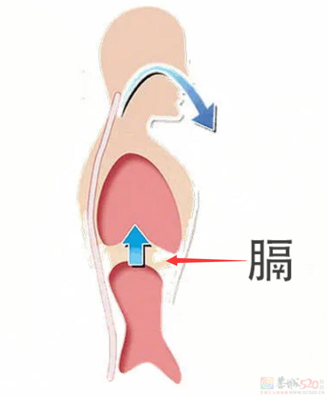 身体“上热下寒”的人，是哪里出了问题？908 / 作者:健康小天使 / 帖子ID:315956