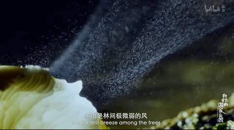 飙升9.0，顶级团队助阵，国产片这次出息了！375 / 作者:该做的事情 / 帖子ID:316164