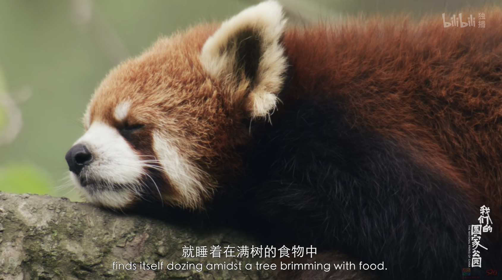 飙升9.0，顶级团队助阵，国产片这次出息了！445 / 作者:该做的事情 / 帖子ID:316164