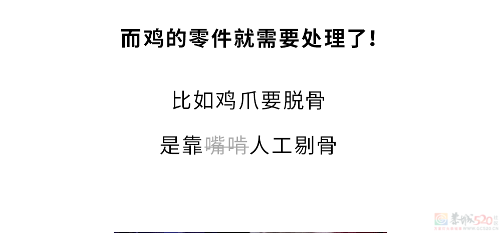 为什么买整只鸡这么便宜，买鸡的身体零件却这么贵？????467 / 作者:儿时的回忆 / 帖子ID:316253