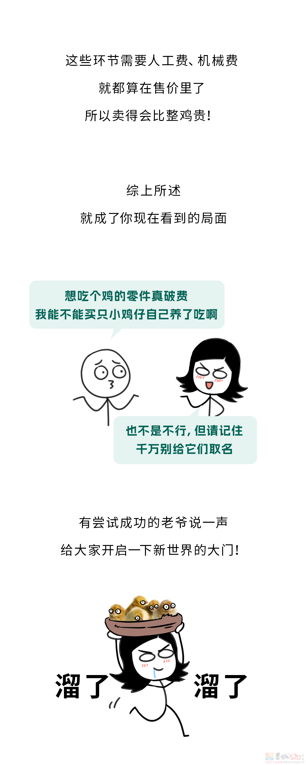 为什么买整只鸡这么便宜，买鸡的身体零件却这么贵？????461 / 作者:儿时的回忆 / 帖子ID:316253