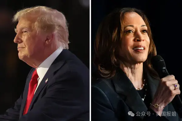 拜登退选也能当副总统？钦点黑人印度裔女副手上位，川普乐坏狠嘲：击败这个疯婆子更容易！952 / 作者:放眼看世界 / 帖子ID:316268