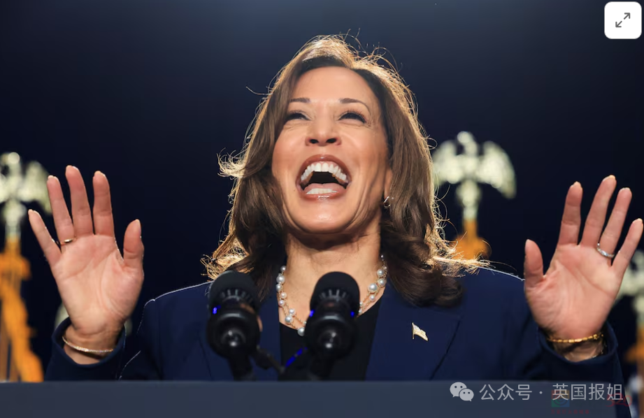哈里斯上位立筹6亿民调逆转川普！首次演讲骂川普是色狼虐待狂？选民狂喜：早该让她出来对打！675 / 作者:放眼看世界 / 帖子ID:316300