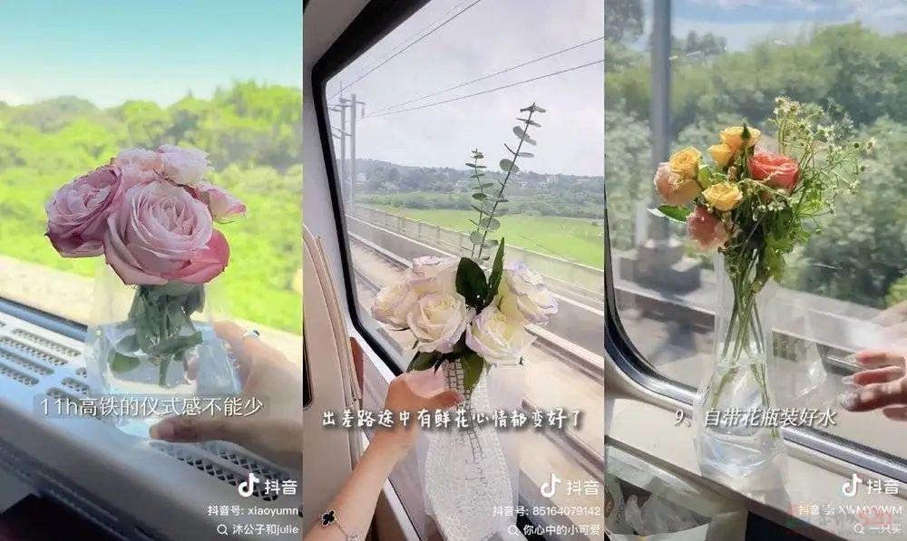 “精致女生坐高铁”，带货网红大团建334 / 作者:儿时的回忆 / 帖子ID:316310