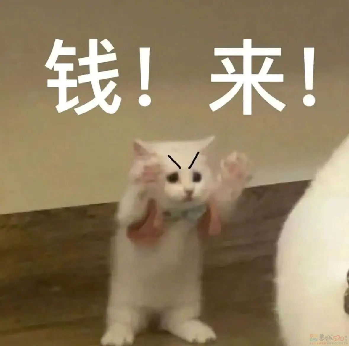 “2块9一顿便宜得像剩饭”，但打工人彻底被这外卖界拼多多洗脑了947 / 作者:儿时的回忆 / 帖子ID:316353